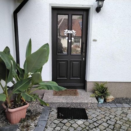 Pusteblume Groitzsch Exterior foto