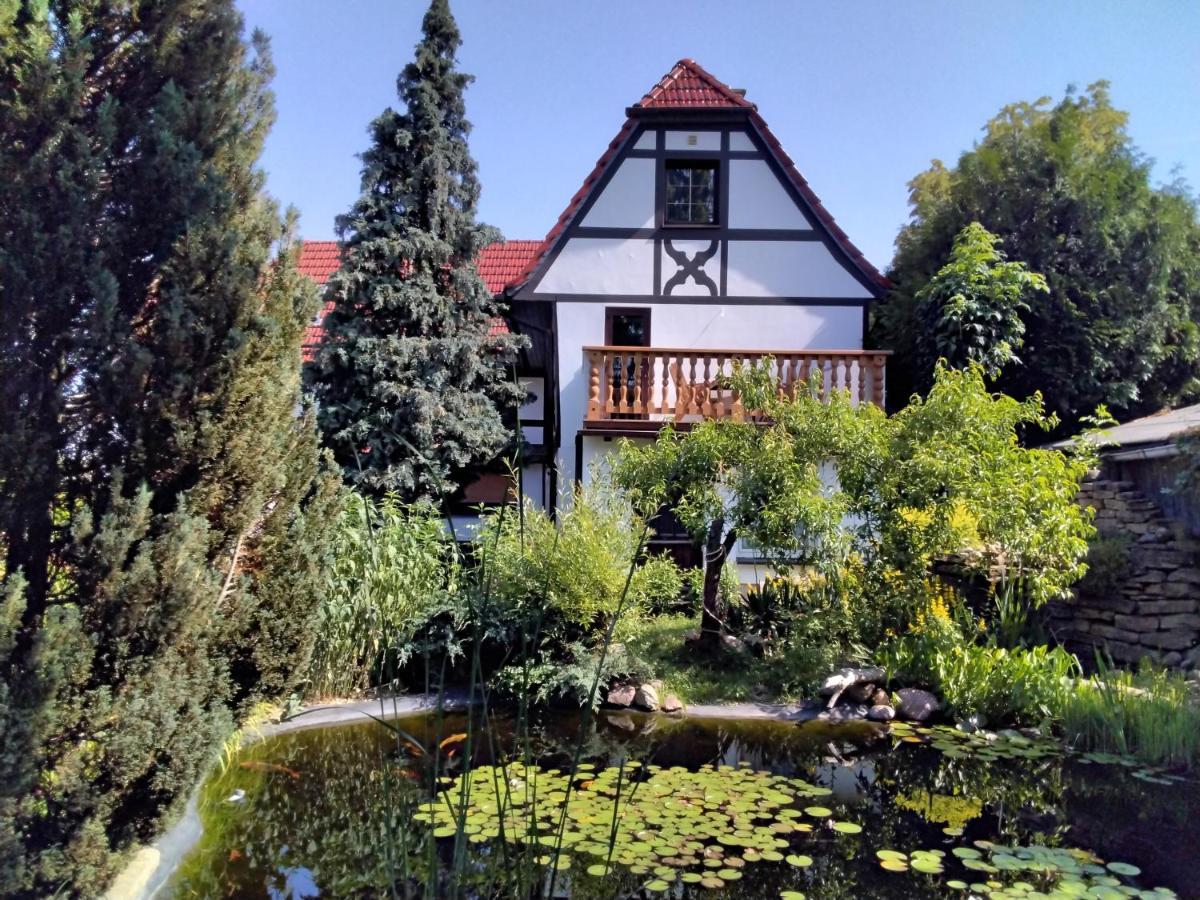 Pusteblume Groitzsch Exterior foto