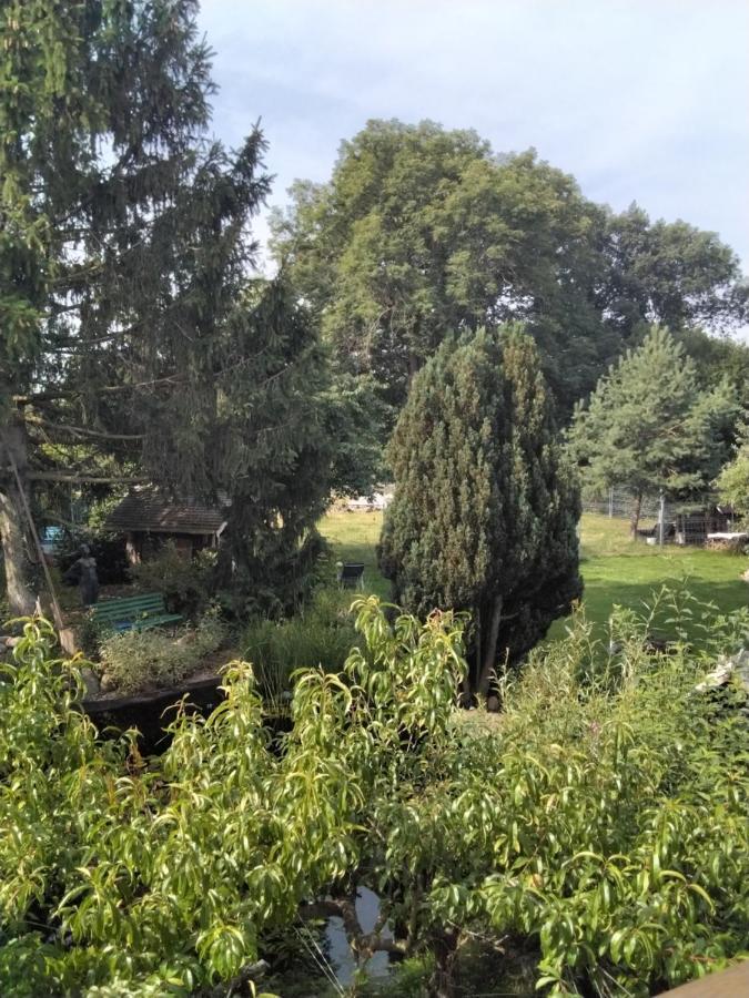 Pusteblume Groitzsch Exterior foto